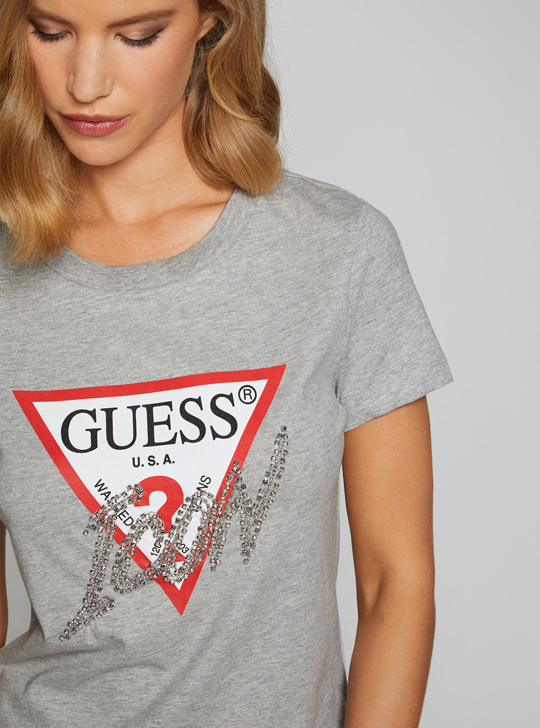 Eco Grey Icon Logo T-Shirt